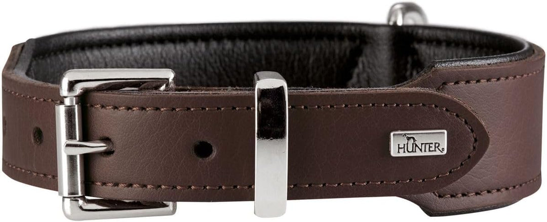 HUNTER BASIC Hundehalsband, beschichtetes Spaltleder, Kunstleder, schlicht, robust, witterungsbestän