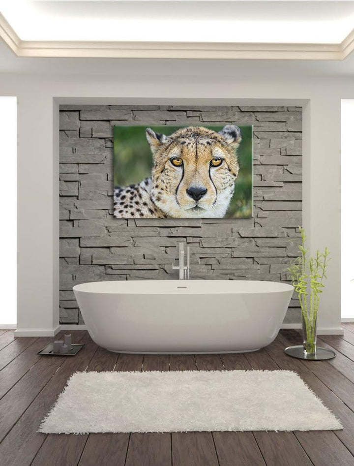 Pixxprint ruhender Gepard auf Leinwand, XXL riesige Bilder fertig gerahmt mit Keilrahmen, Kunstdruck