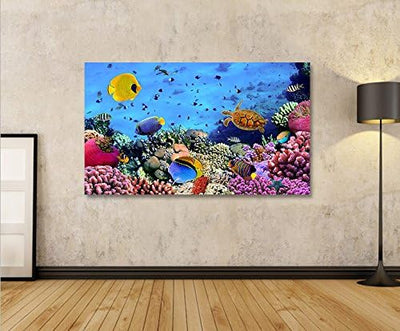 islandburner Bild Bilder auf Leinwand Aquarium Fische Meerwasser Tropische Doktorfische 1p XXL Poste