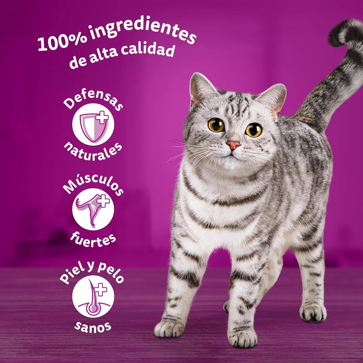 Whiskas Nassfutter für Erwachsene Katzen Auswahl Vögel in Gelatine Multipack (4 x 12 Beutel x 85 g)