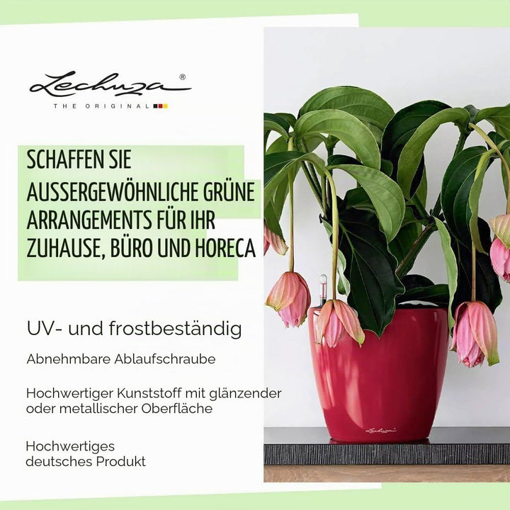 LECHUZA CLASSICO Premium LS 43 anthrazit metallic 16083 43.5x43.5x39.5 cm Anthrazit Metallic Einzel,
