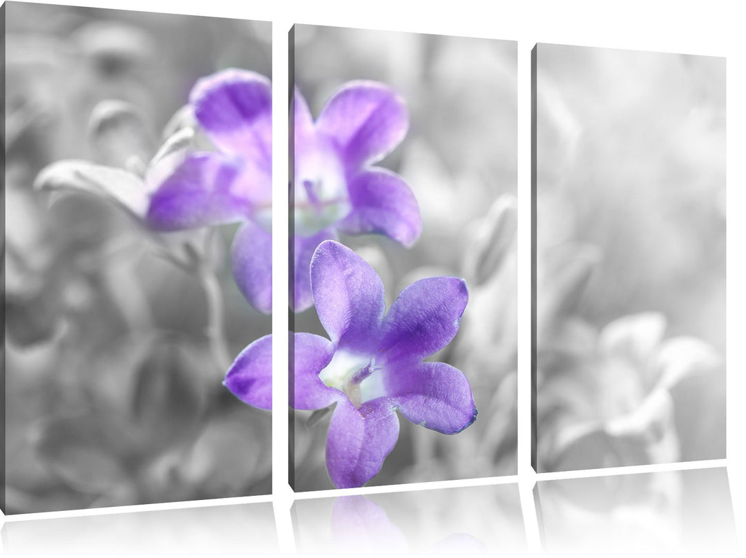 Pixxprint Lilane Lavendelblumen als Leinwandbild/Grösse: 3 Teilig (120x80) cm/Wandbild/Kunstdruck/fe