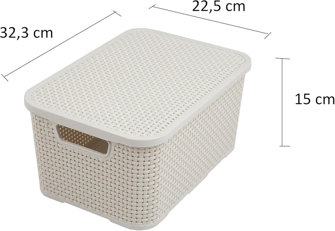 BranQ - Home essential Deckel Korb in Rattan Design 2er Set Grösse M 10l, Kunststoff PP, Creme, 10 l