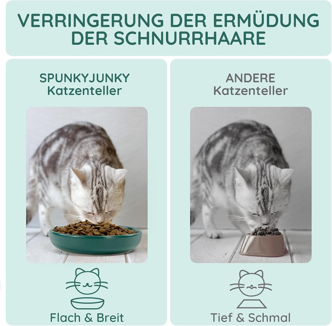 SPUNKYJUNKY Katzennäpfe 3 Stück Futternäpfe Keramik Fressnapf für Katzen (Grün) Grün Round (300ml*3)