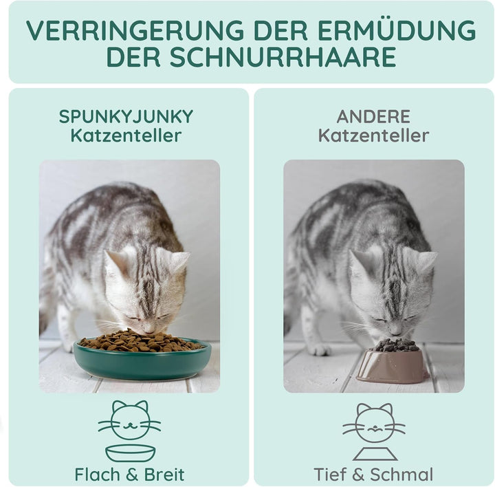 SPUNKYJUNKY Katzennäpfe 3 Stück Futternäpfe Keramik Fressnapf für Katzen (Grün) Grün Round (300ml*3)