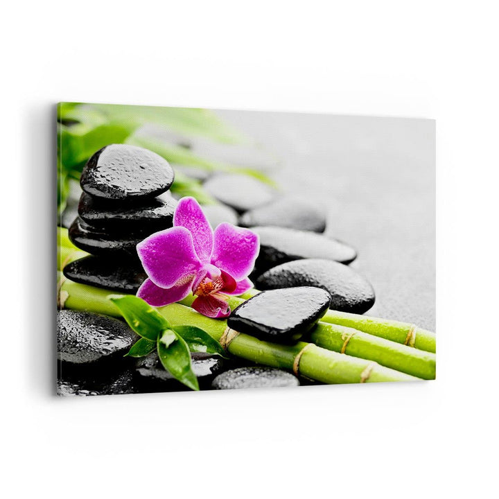 Bilder auf Leinwand 100x70cm Leinwandbild Pflanze Steine Bambus Spa Gross Wanddeko Bild Schlafzimmer