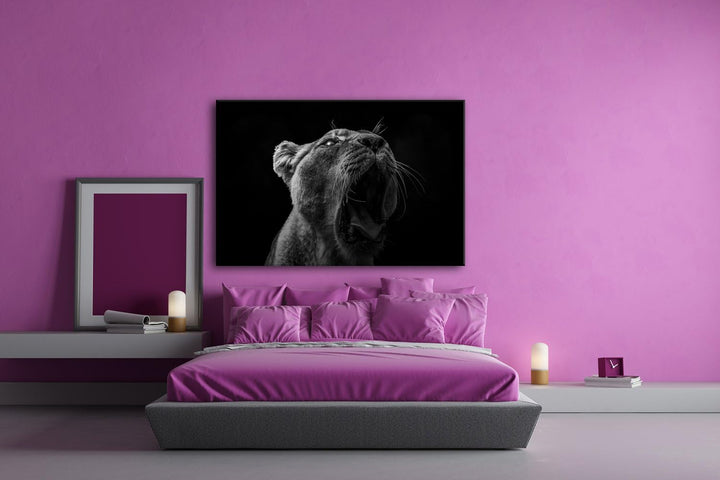 deyoli Dark stolze Löwin Format: 100x70 Effekt: Schwarz/Weiss als Leinwand, Motiv fertig gerahmt auf