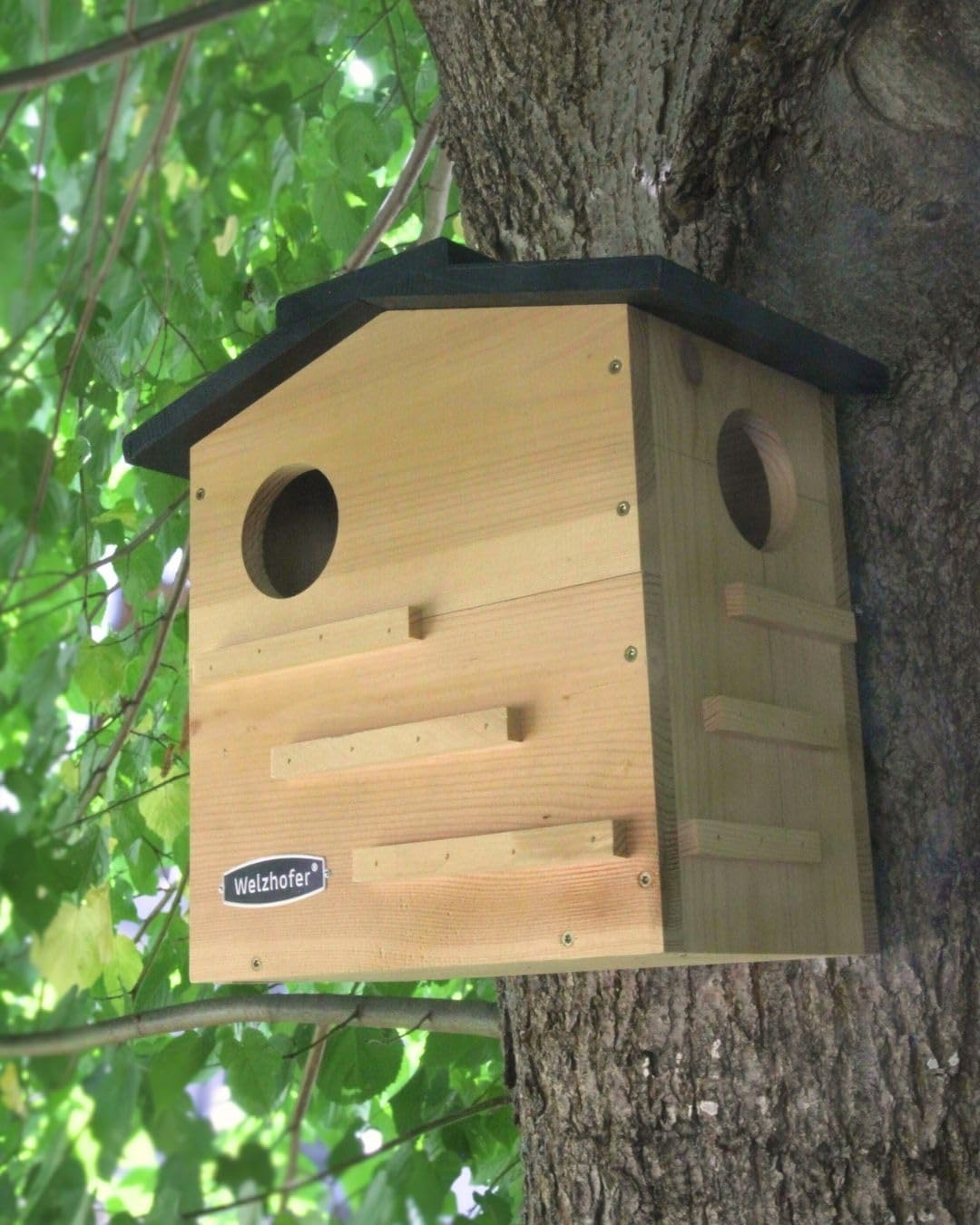 Welzhofer Eichhörnchen-Kobel Carlotta – wetterfestes Eichhörnchenhaus mit 2 EIN-/Ausgängen, Belüftun