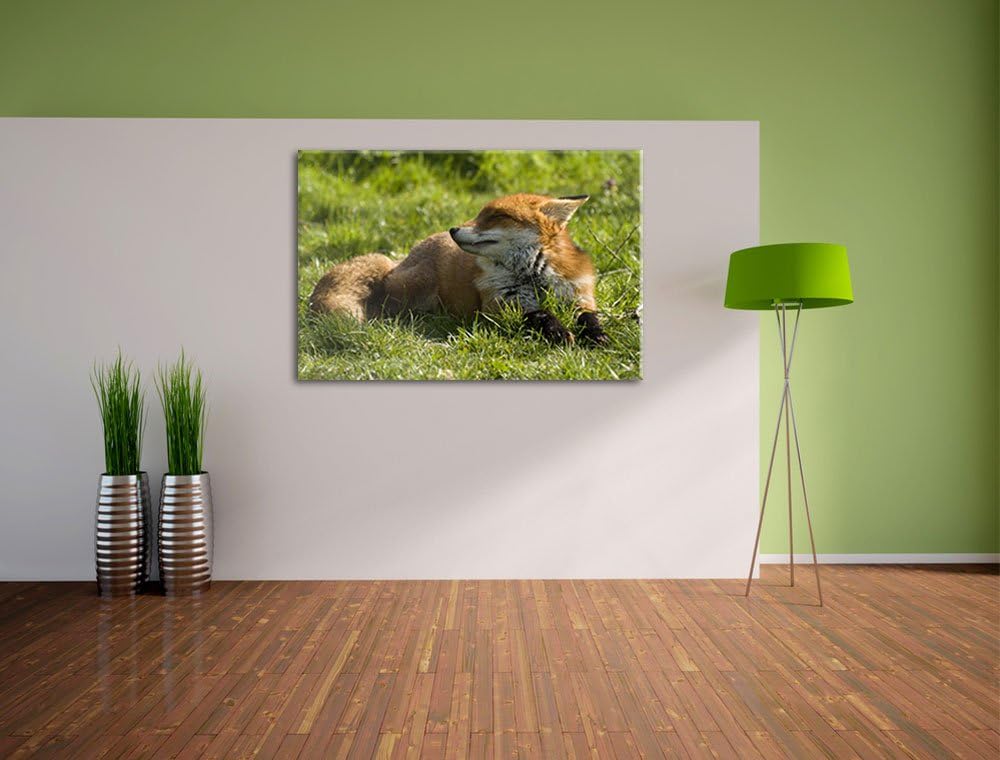 Kleiner Fuchs auf Wiese, Format: 100x70 auf Leinwand, XXL riesige Bilder fertig gerahmt mit Keilrahm
