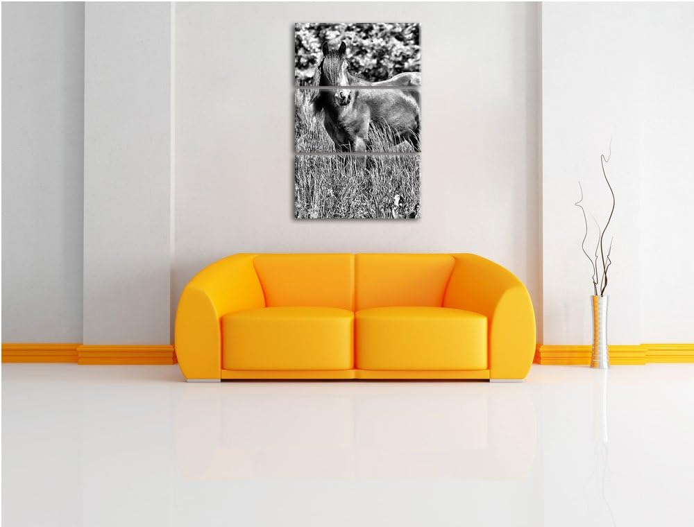 Pixxprint Braunes Pferd auf Wiese als Leinwandbild/Grösse: 3 Teilig (120x80) cm/Wandbild/Kunstdruck/