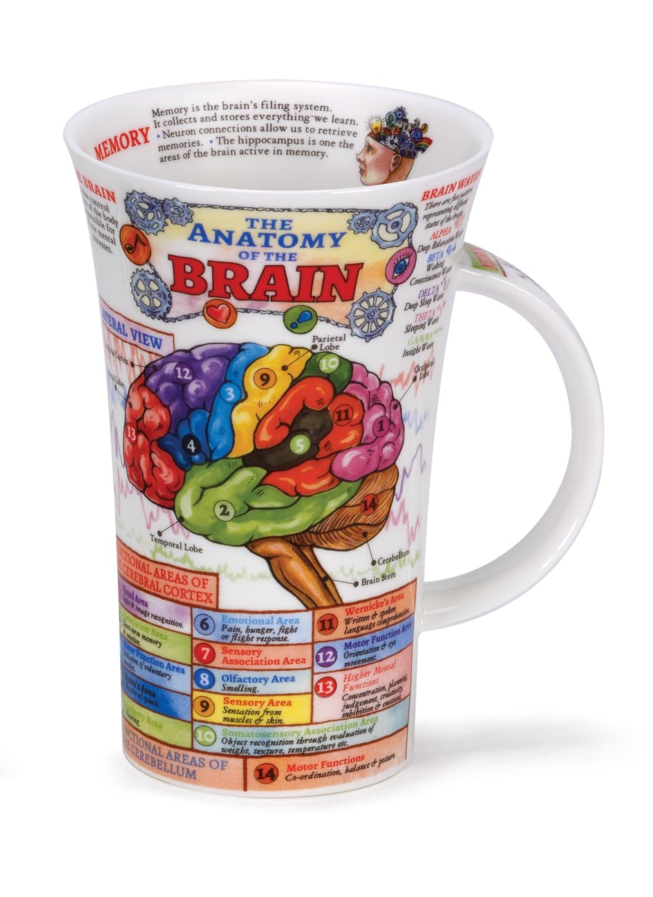 Dunoon, Trinkbecher, Glencoe, Biologie, Knochenporzellan, The Brain