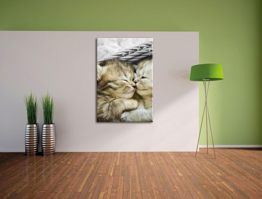 Pixxprint Zwei süsse Babykatzen im Korb als Leinwandbild/Grösse: 100x70 cm/Wandbild/Kunstdruck/ferti
