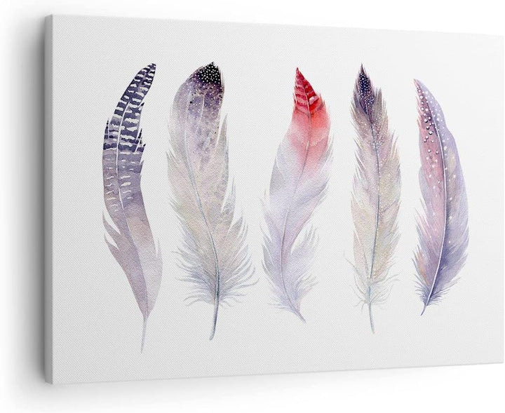 Bilder auf Leinwand Feder Tier Vogel Komposition Leinwandbild 70x50cm Wandbilder Dekoration Wohnzimm