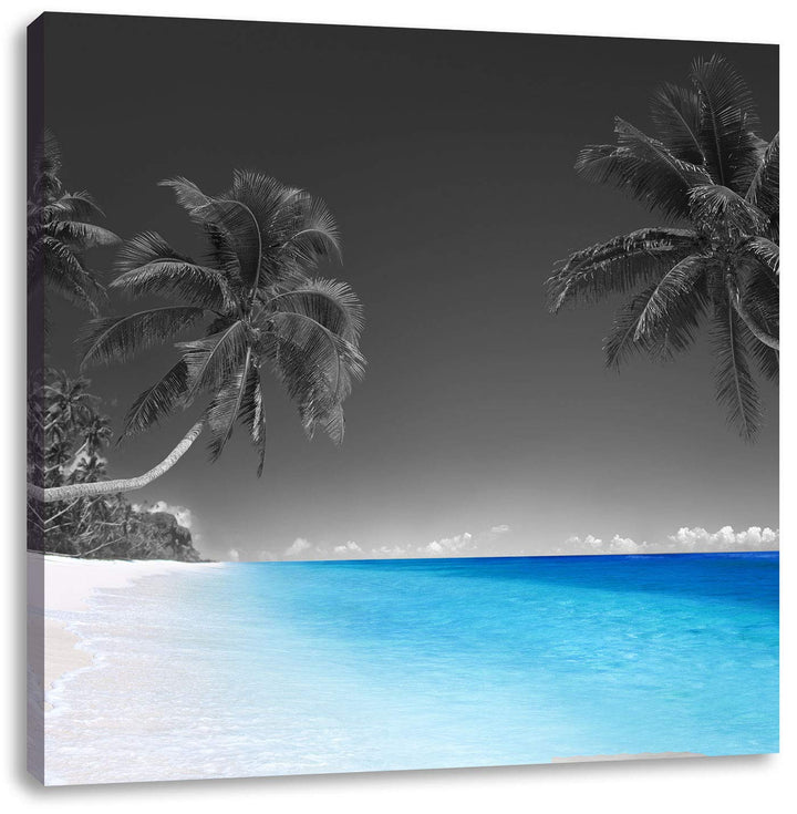 Pixxprint schöne Palmen über dem Meer schwarz/weiss, Format: 70x70 auf Leinwand, 70x70