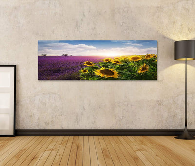 Bild Bilder auf Leinwand Lavendel und Sonnenblumen Felder, Provence Wandbild, Poster, Leinwandbild N