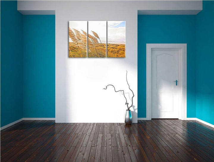 Schönes Schilf in den Dünen Spezial 3-Teiler Leinwandbild 120x80 Bild auf Leinwand, XXL riesige Bild