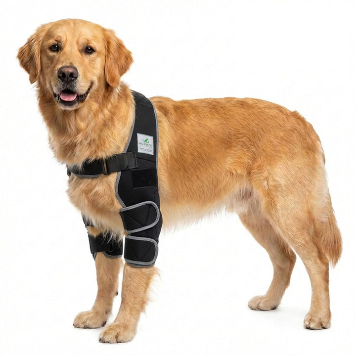 Nature Pet Ellenbogenbandage Hund/Ellenbogenschoner mit Netzeinsatz für Kühl- oder Wärmepads – ideal