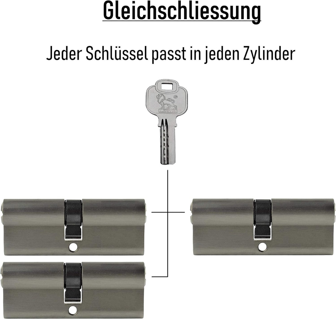 3x Profilzylinder 100 mm 50/50 gleichschliessend inkl. 15 Schlüssel