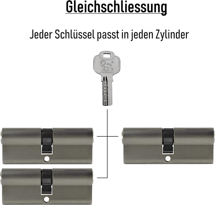 3x Profilzylinder 100 mm 50/50 gleichschliessend inkl. 15 Schlüssel