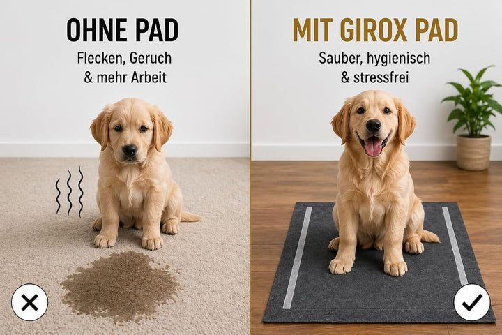 Girox Welpenunterlagen 60x60 cm 50 Stück mit Aktivkohle, Puppy Pads für Hunde, saugstarke Hundetrain