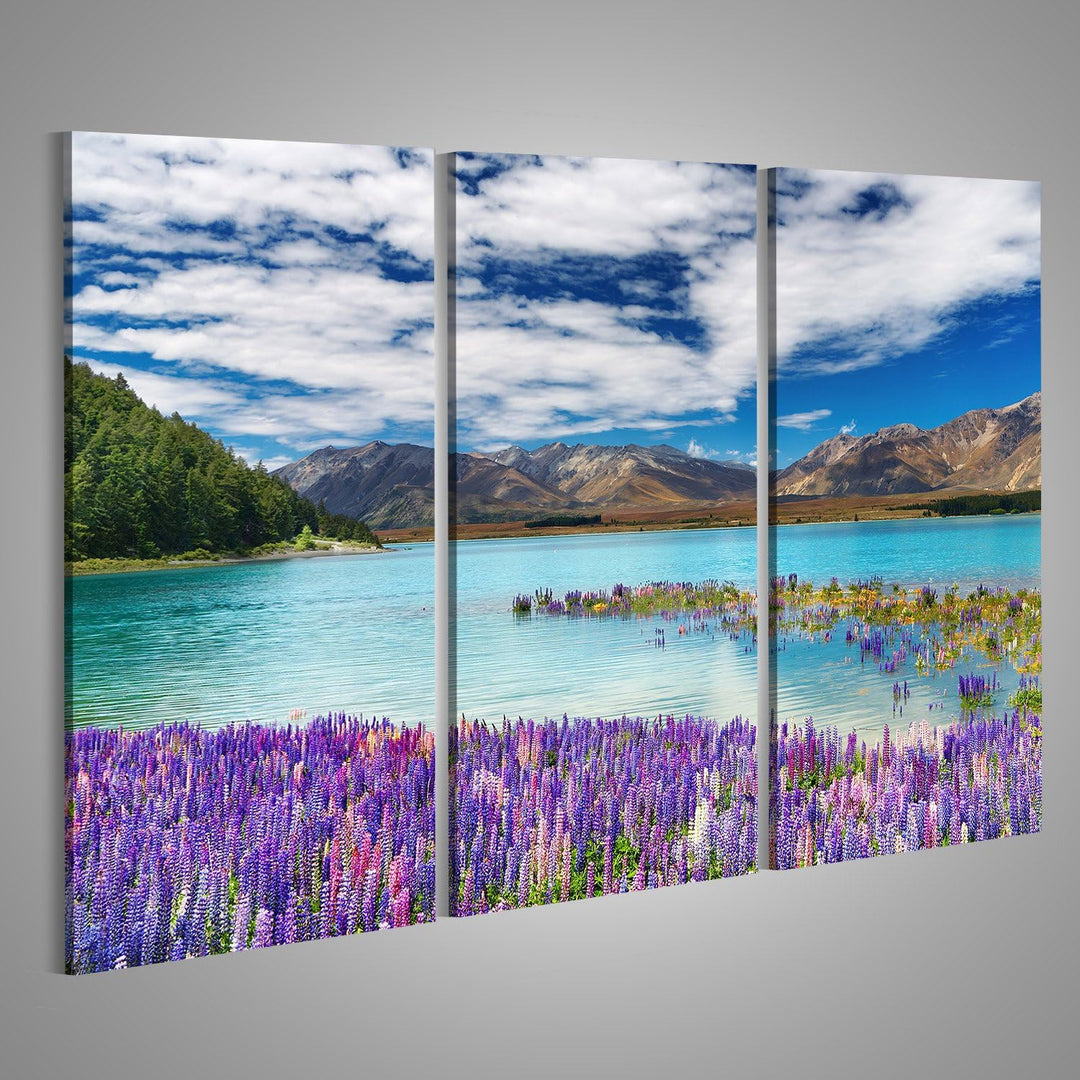 islandburner Bild auf Leinwand Lake Tekapo Südinsel Neuseeland Wandbild Poster Kunstdruck Bilder For