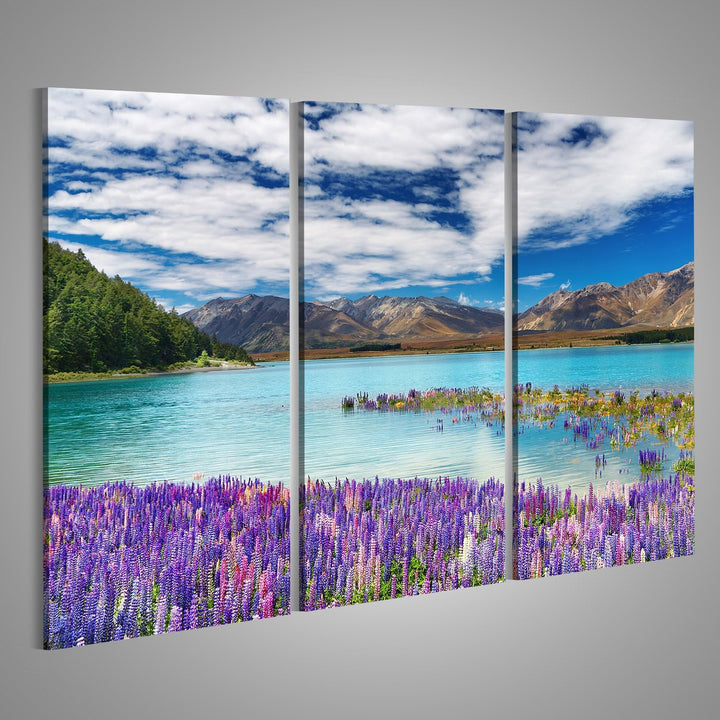 islandburner Bild auf Leinwand Lake Tekapo Südinsel Neuseeland Wandbild Poster Kunstdruck Bilder For