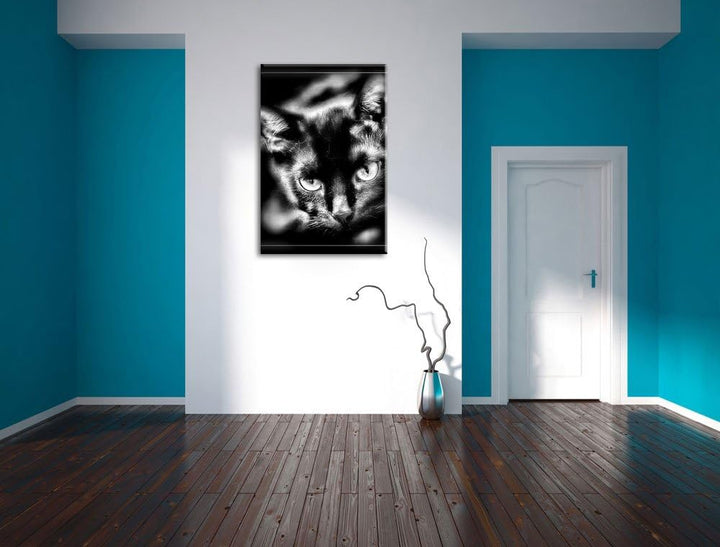 Pixxprint schöne Schwarze Katze als Leinwandbild/Grösse: 100x70 cm/Wandbild/Kunstdruck/fertig bespan