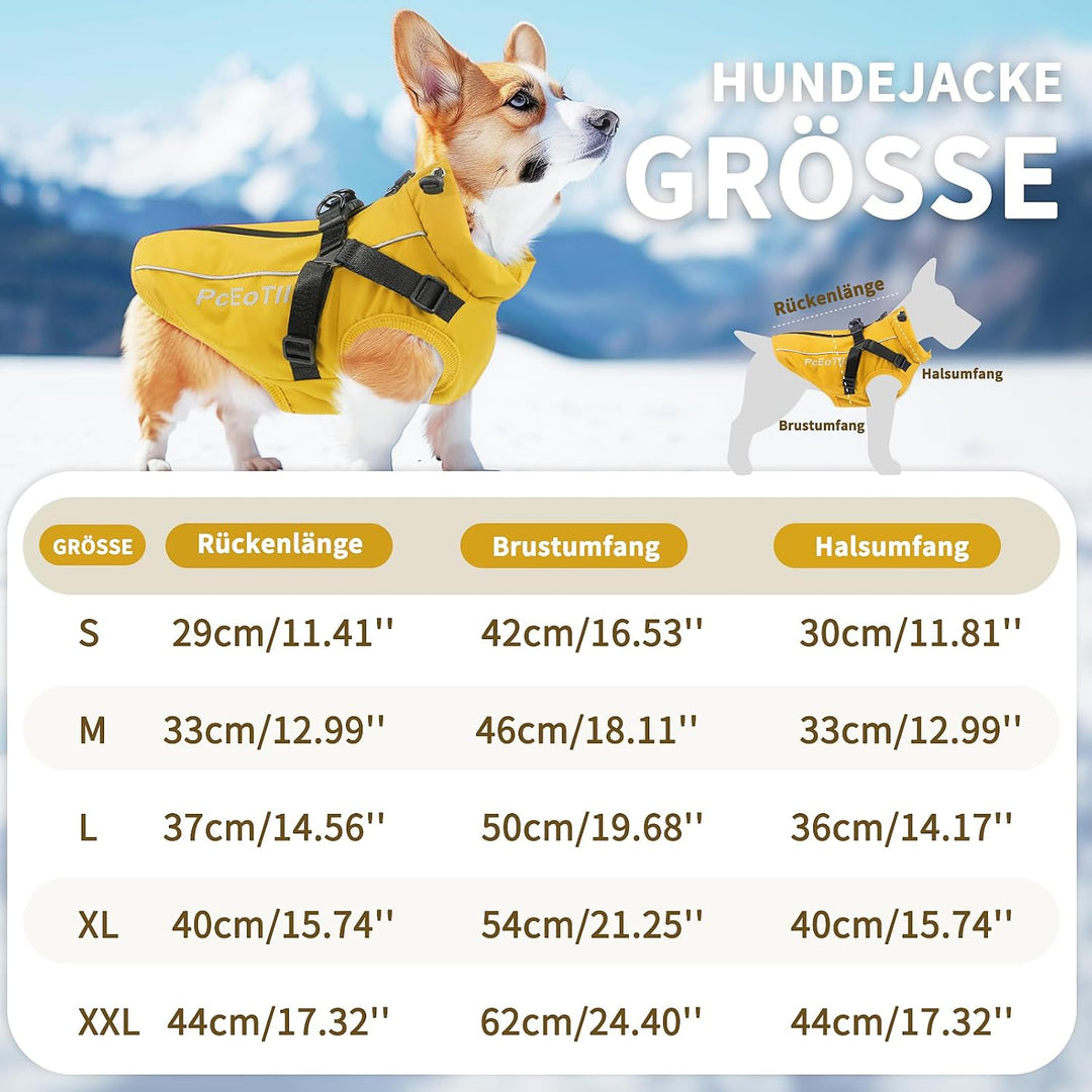 PcEoTllar Wasserdichter Hundemantel für kleine Hunde, warme reflektierende Jacke mit Geschirr für de
