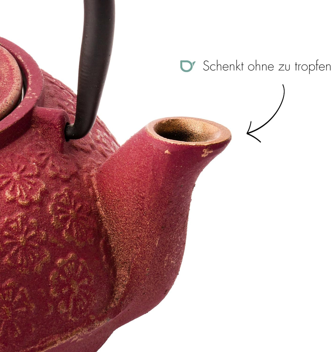 Bredemeijer rotes asiatisches gusseisernes Teekannen Set 0.6 Liter mit 2 Tassen