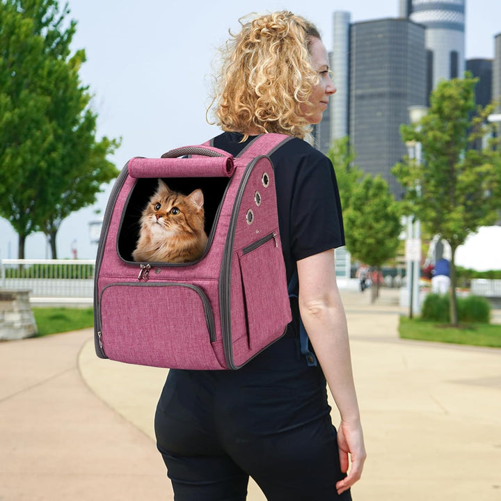 PETCUTE Hunderucksack Atmungsaktiv Katzenrucksack Hundetragetasche Faltbar Haustier Rucksäcke Wander