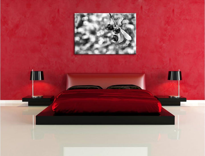 Monocrome, Kirsche, Format: 100x70 auf Leinwand, XXL riesige Bilder fertig gerahmt mit Keilrahmen, K