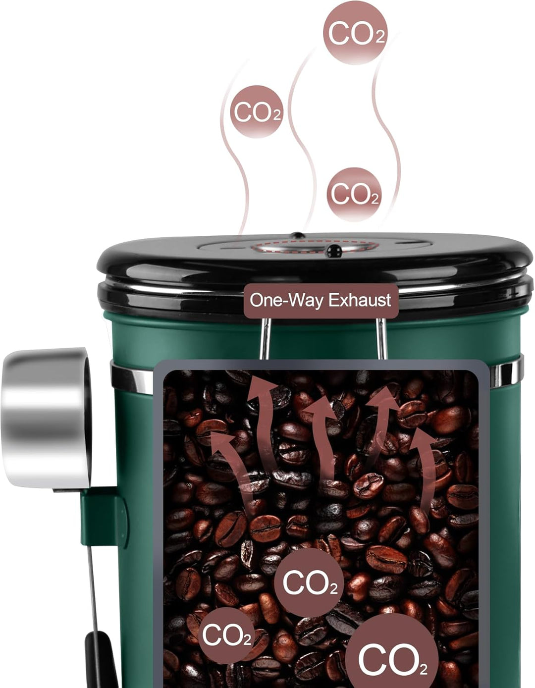 ROCKY&CHAO Kaffeedose Luftdicht aus Edelstahl 1,8L Kaffeebhnen Behälter mit Sichtfenster an der Seit