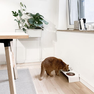 LucyBalu® Erhöhte Doppel-Futterstation Katze | Ergonomischer Katzennapf erhöht | Erhöhter Futternapf