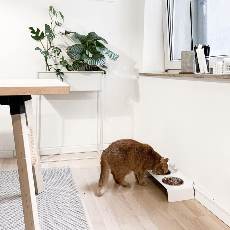 LucyBalu® Erhöhte Doppel-Futterstation Katze | Ergonomischer Katzennapf erhöht | Erhöhter Futternapf