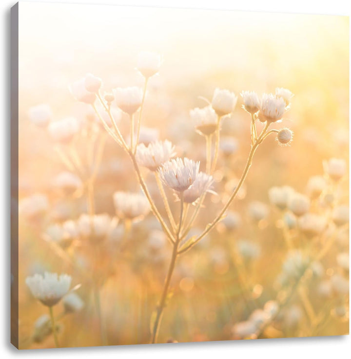 Romantische Blumenwiese, Format: 70x70 auf Leinwand, XXL riesige Bilder fertig gerahmt mit Keilrahme