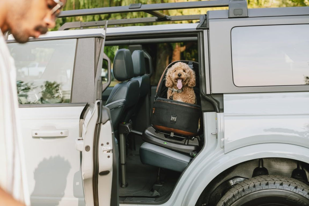 Tavo Maeve ISOFIX Fahrzeugbasis für Haustier-Autositz – Vehicle Base für Maeve Pet Carrier, Stabilit