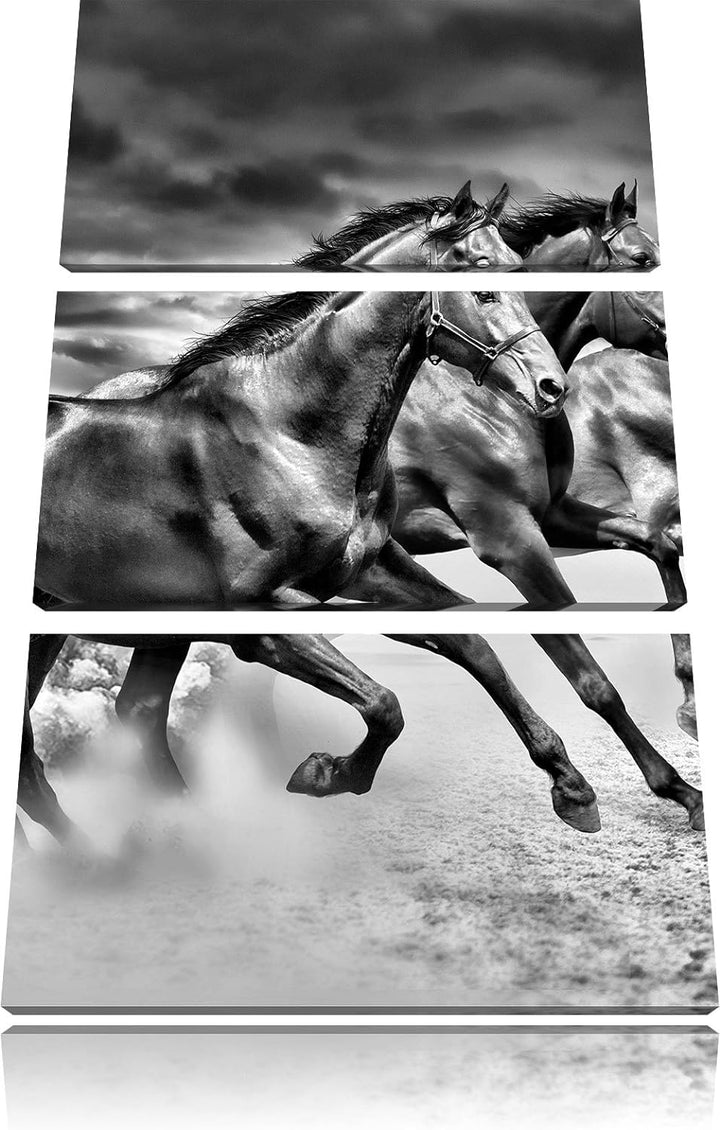 Pixxprint DREI Wilde Westernpferde als Leinwandbild/Grösse: 3 Teilig (120x80) cm/Wandbild/Kunstdruck