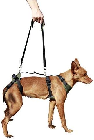 Ortocanis - Ganzkörper-Hundegeschirr zur Unterstützung von Vorder- und Hinterbeine, Grösse S Grösse