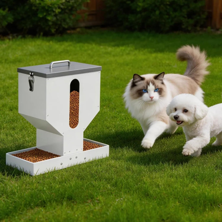 Automatischer Futterspender Katze füR 2 Haustier, 12L Metall Haustier Trockenfutterspender mit Doppe
