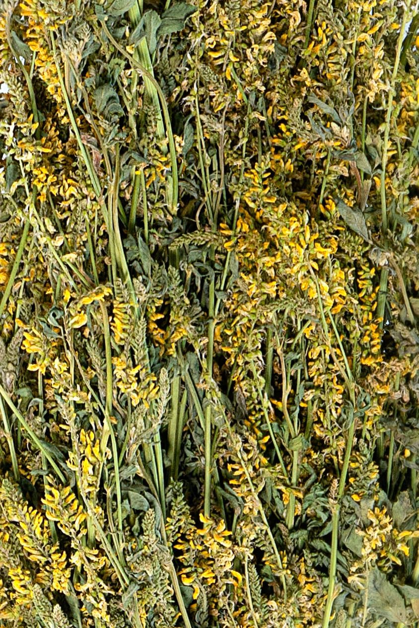 Steinklee im Bündel | Sweet clover |Melilotus| Донник (5), 5