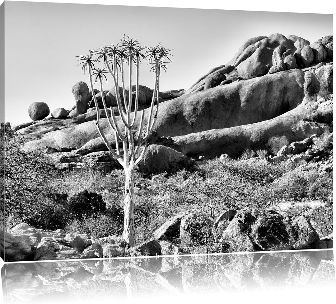 Pixxprint Monocrome, aussergewöhnlicher Baum im Steingebirge, Format: 100x70 auf Leinwand, XXL riesi