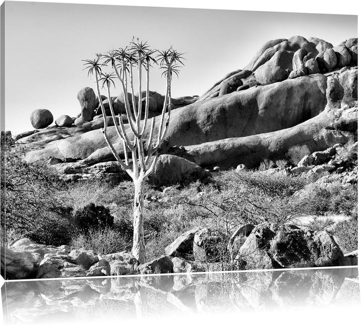 Pixxprint Monocrome, aussergewöhnlicher Baum im Steingebirge, Format: 100x70 auf Leinwand, XXL riesi