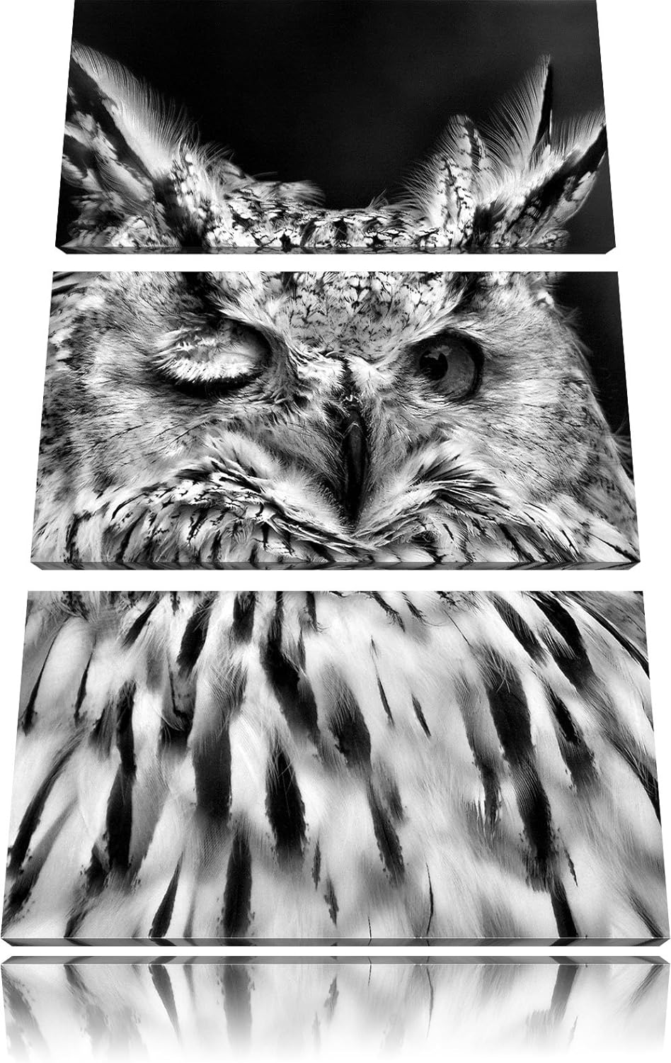 Pixxprint Monocrome, Waldohreule zwinkert 3-Teiler Leinwandbild 120x80 Bild auf Leinwand