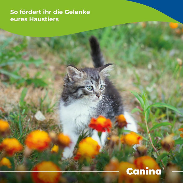 Canina Velox Gelenkenergie, 1er Pack (1 x 0.4 kg) nicht zutreffend 400 g (1er Pack), nicht zutreffen