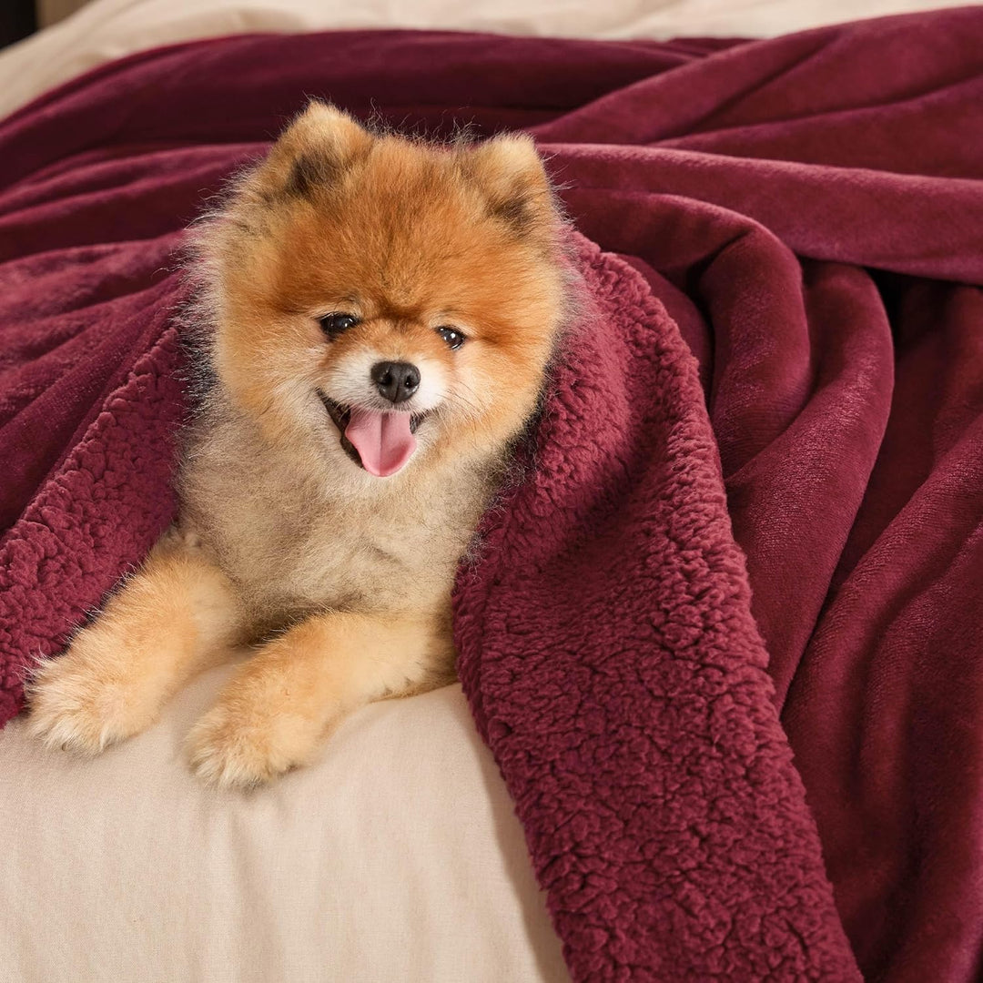 BEDSURE Kuscheldecke - Warm Sherpa Wolldecke & Sofadecke, Flauschig Sofaüberwurf Decke, Dicke Couchd