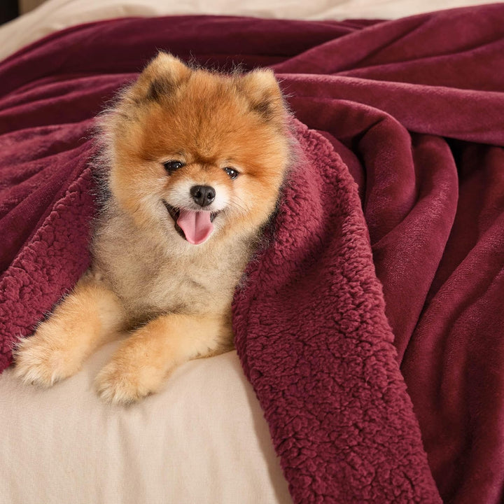 BEDSURE Kuscheldecke - Warm Sherpa Wolldecke & Sofadecke, Flauschig Sofaüberwurf Decke, Dicke Couchd