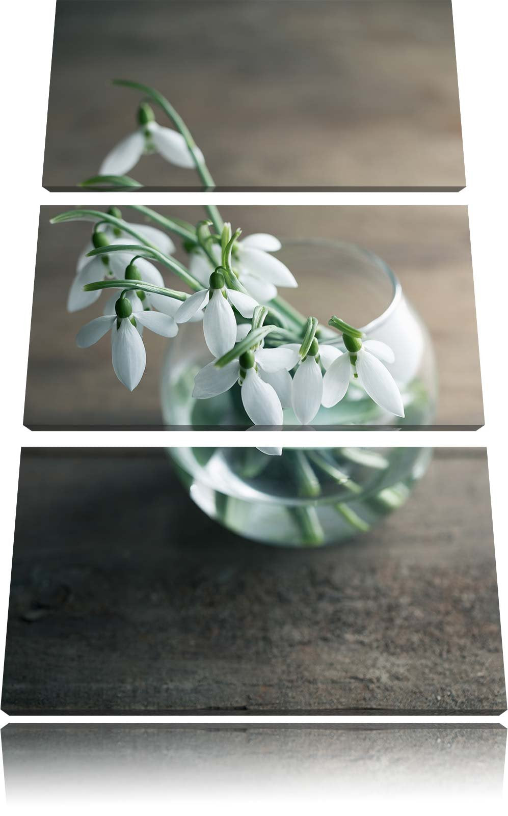 Pixxprint Schneeglöckchen in der Vase als Leinwandbild/Grösse: 3 Teilig (120x80) cm/Wandbild/Kunstdr