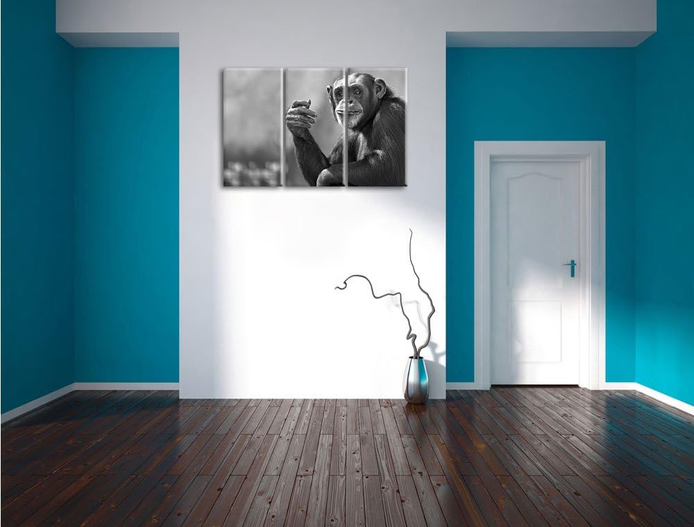 Pixxprint Aufmerksamer Schimpanse Kunst B&W als Leinwandbild/Grösse: 3 Teilig (120x80) cm/Wandbild/K