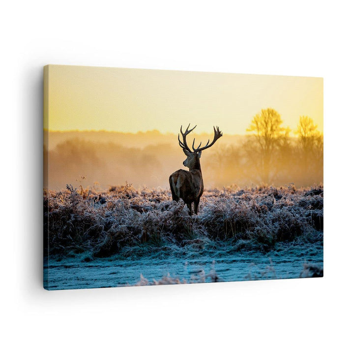 ARTTOR Bilder auf Leinwand Feld Nebel Natur Baum Leinwandbild 70x50cm Wandbilder Dekoration Wohnzimm