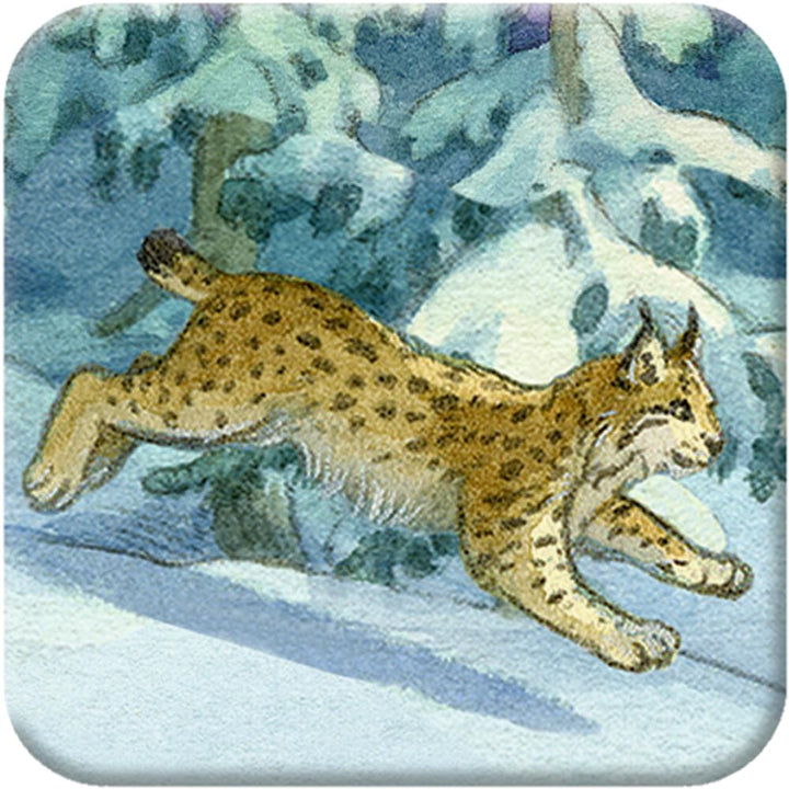 Memo-Adventskalender – Die Tiere im Winterwald, Kalender